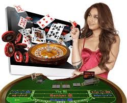olx17 link live dealer studio with HD tables and professional dealers